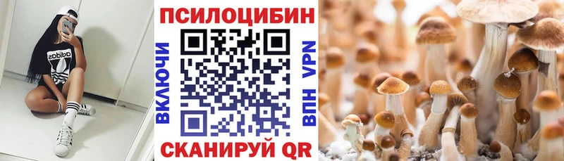 сайты даркнета Telegram  Славск  Галлюциногенные грибы Cubensis 